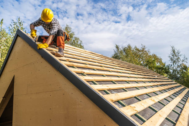 Best Flat Roof Repair Services  in Kaufman, TX
